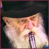 Living Torah